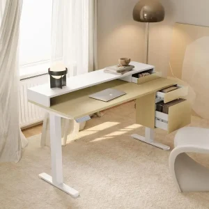 47 Height-Adjustable Electric Standing Desk