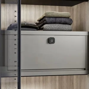 Biometric Fingerprint Lock Black Keyless Cabinet Lock Smart Drawer Locks - Thumbnail Image 5